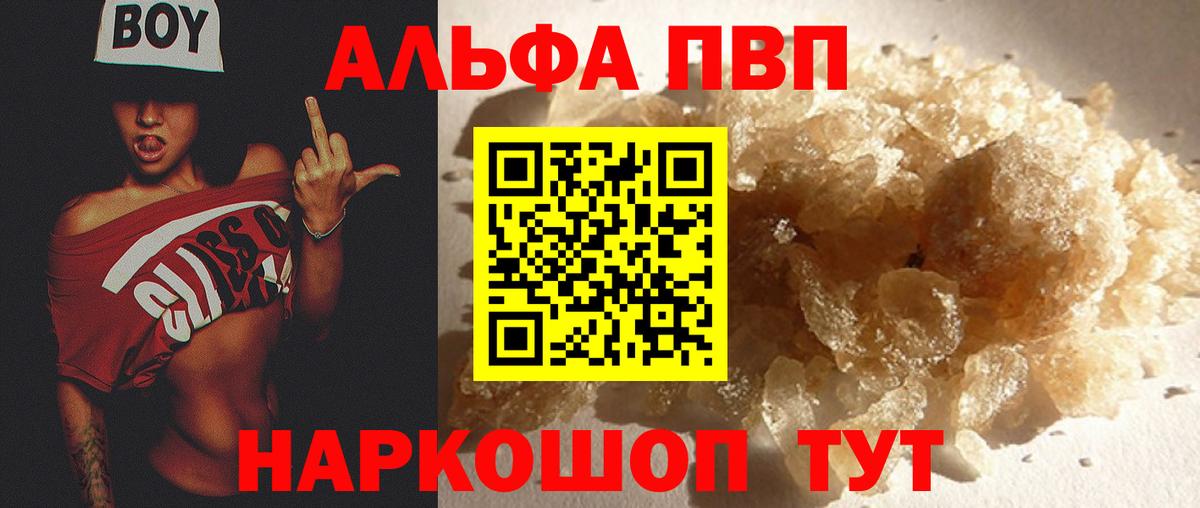 Альфа ПВП СК Великий Устюг