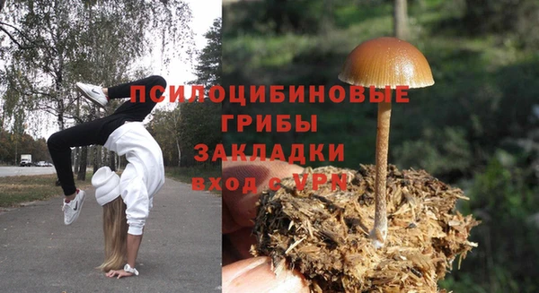 соль курить ск Белокуриха