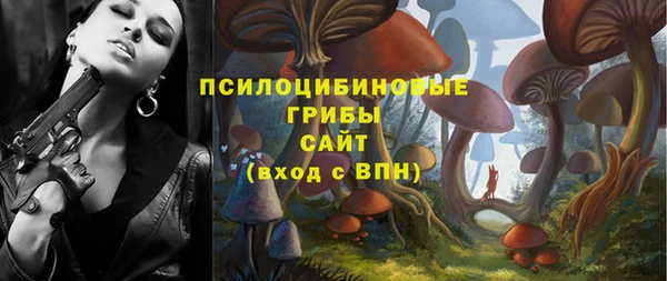 соль курить ск Белокуриха