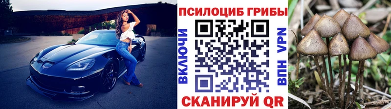 Галлюциногенные грибы Cubensis  кракен ONION  Великий Устюг  цена наркотик 