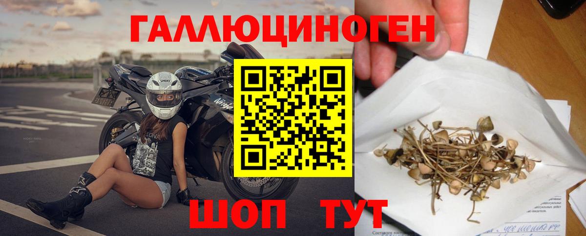 Великий Устюг  Псилоцибиновые грибы Magic Shrooms  Галлюциногенные грибы прущие грибы  Вход с VPN 