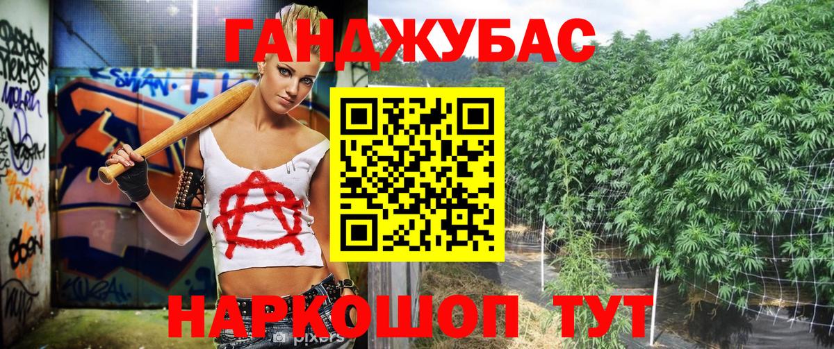 Шишки марихуана план  Марихуана Amnesia  Бошки марихуана ГИДРОПОН  Великий Устюг  Канабис THC 21%  Вход с VPN 